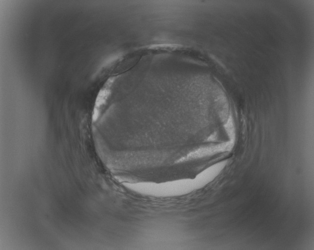 X0000080751351200701121952