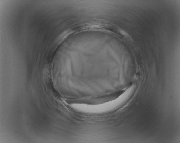 X0000080751353200701121952