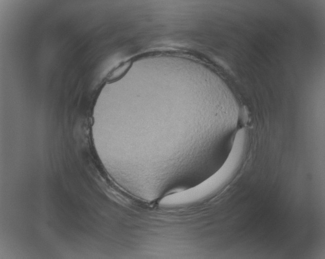 X0000080751355200701121952