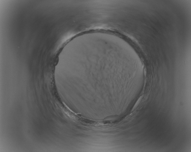 X0000080751359200701121952