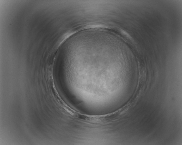X0000080751361200701121952