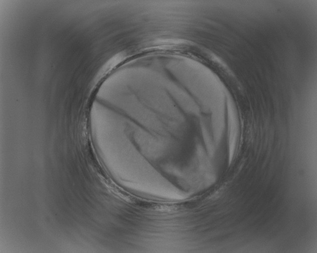 X0000080751362200701121952