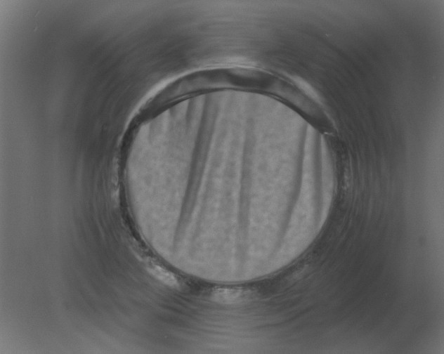 X0000080751364200701121952