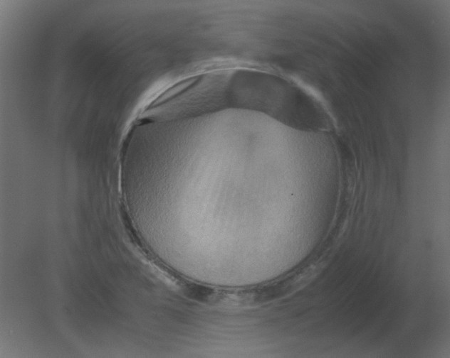 X0000080751365200701121952