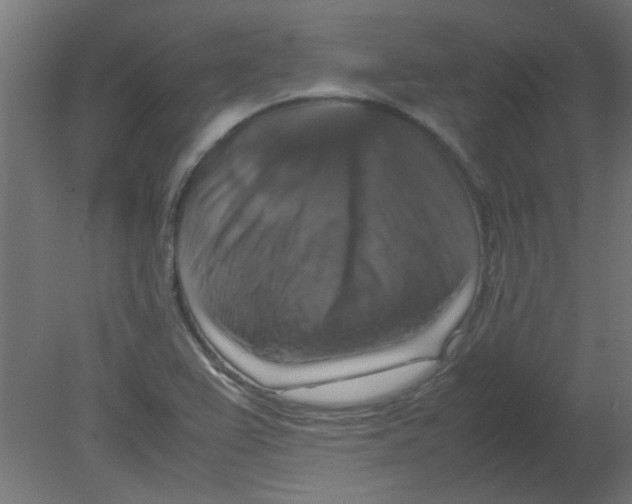 X0000080751367200701121952