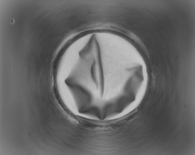 X0000080751368200701121952