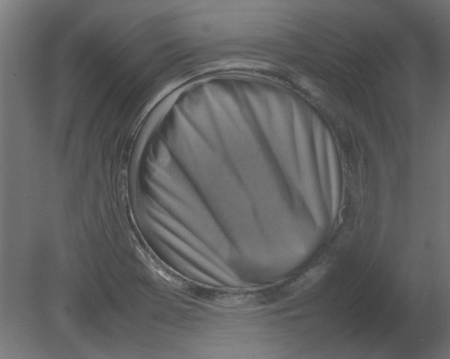 X0000080751369200701121952