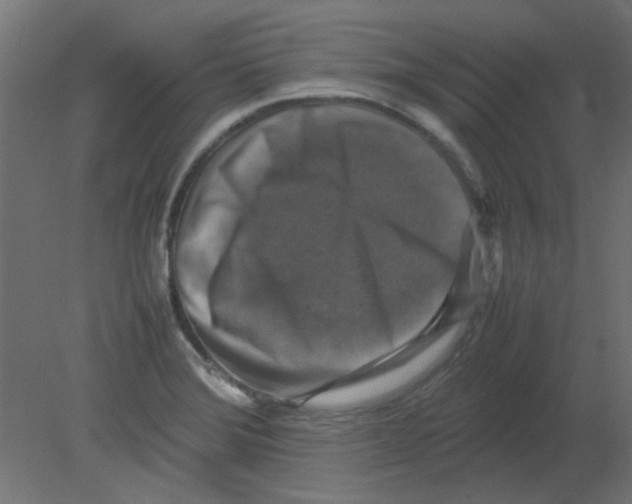 X0000080751372200701121952