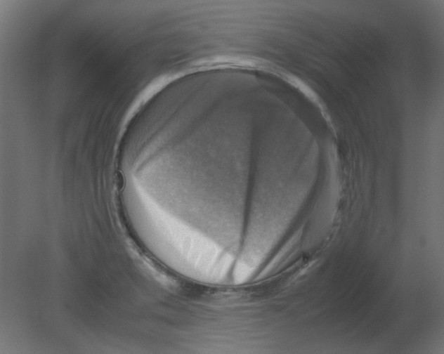 X0000080751373200701121952