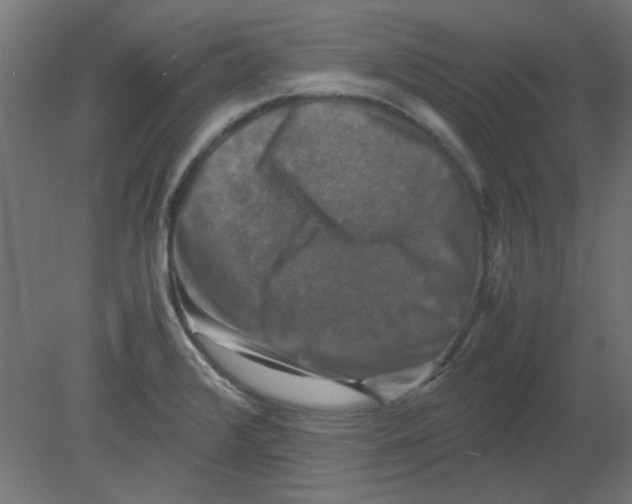 X0000080751376200701121952