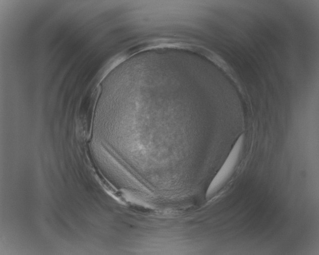 X0000080751377200701121952