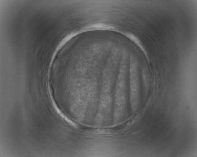 X0000080751381200701121952