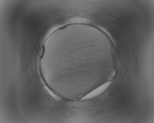 X0000080751383200701121952