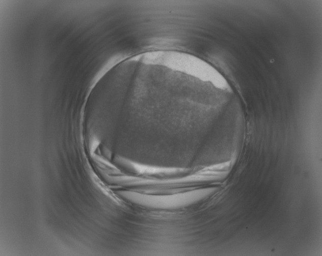 X0000080751386200701121952