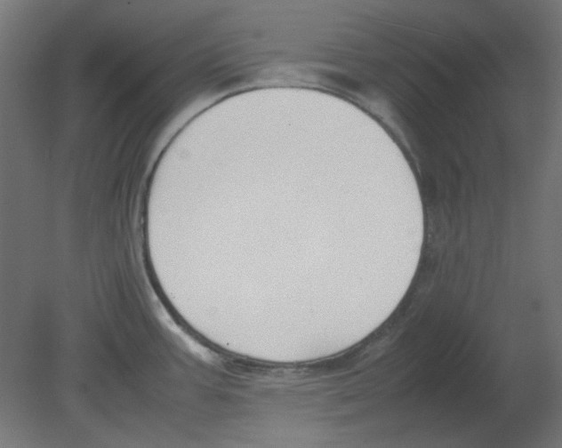X0000080751387200701121952