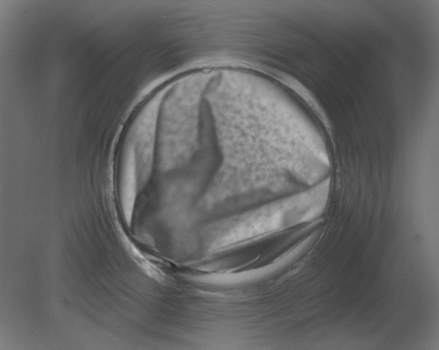 X0000080751388200701121952