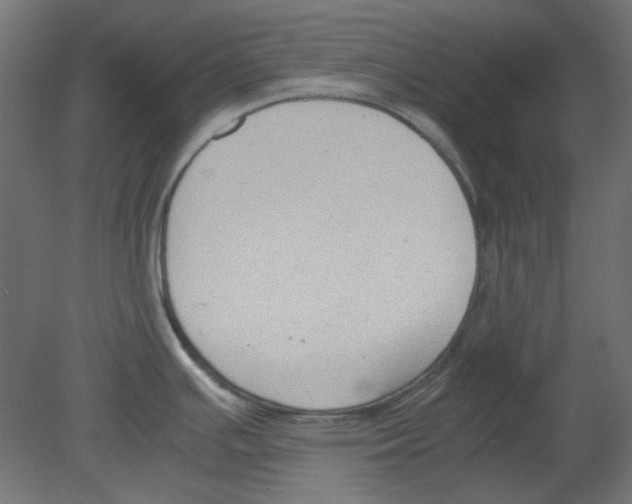 X0000080751391200701121951