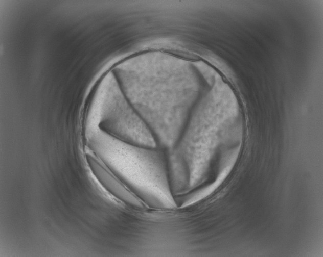 X0000080751392200701121951