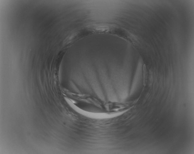 X0000080751394200701121951