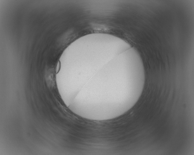 X0000080751396200701121951