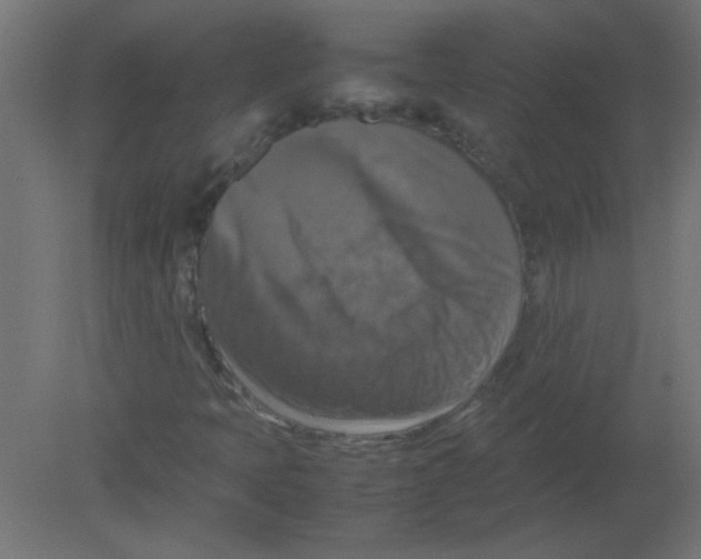 X0000080751397200701121951