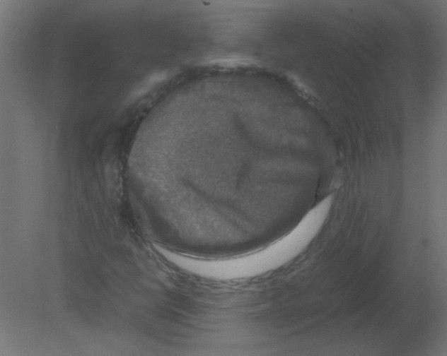X0000080751398200701121951