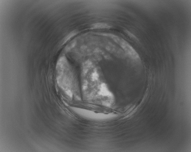 X0000080751401200701121951