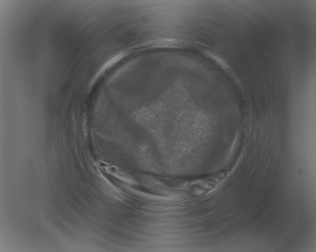X0000080751402200701121951