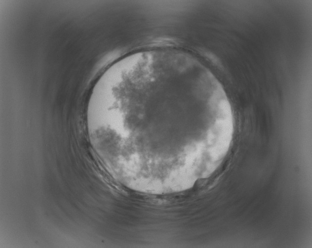 X0000080751405200701121951