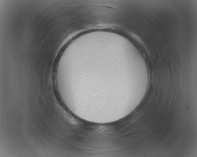 X0000080751412200701121951