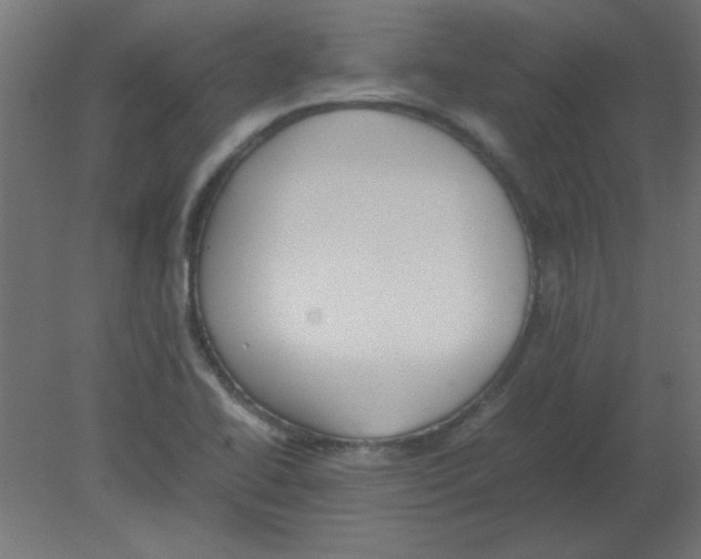 X0000080751414200701121951