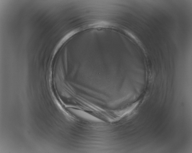 X0000080751418200701121951