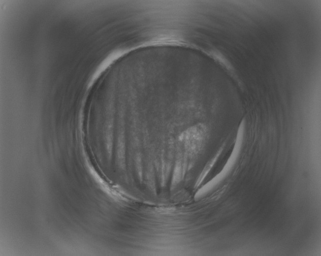 X0000080751422200701121951