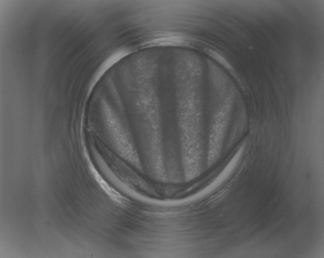 X0000080751426200701121951