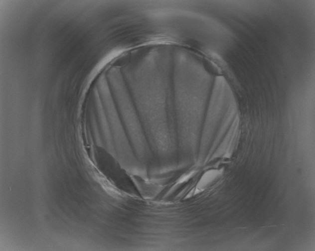 X0000080751427200701121951