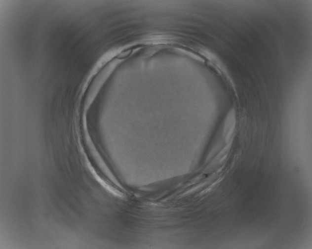 X0000080751429200701121951