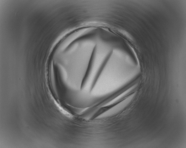 X0000080751430200701121951