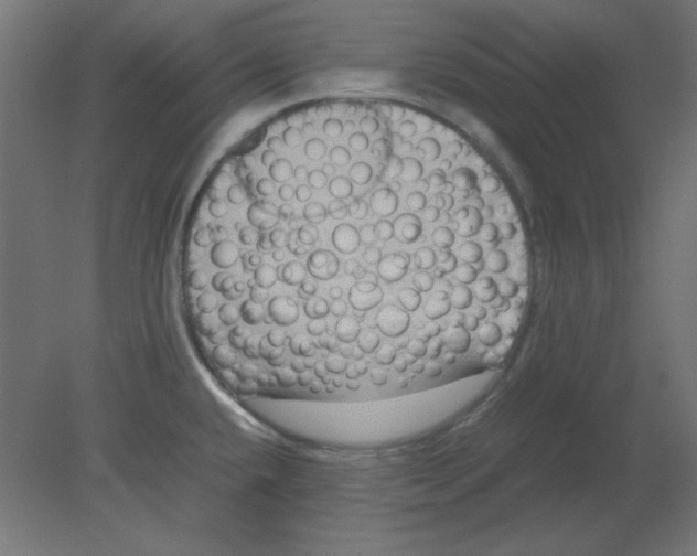 X0000080751432200701121951
