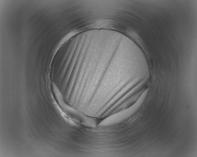 X0000080751434200701121951