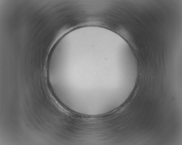 X0000080751436200701121951