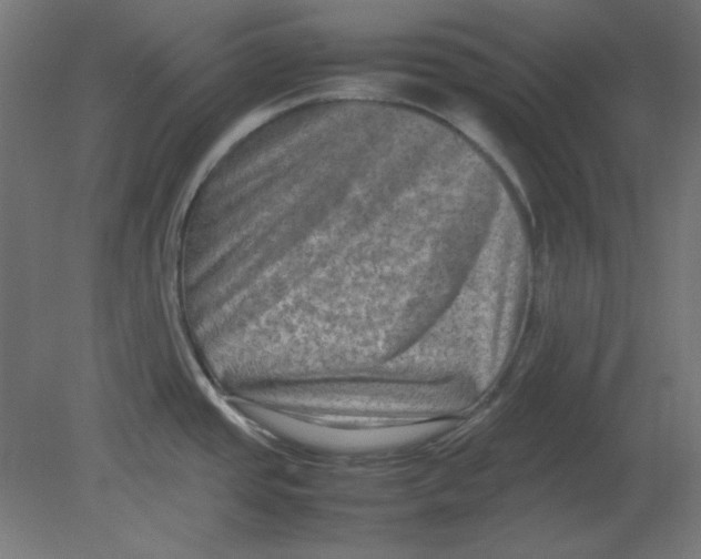 X0000080751437200701121951