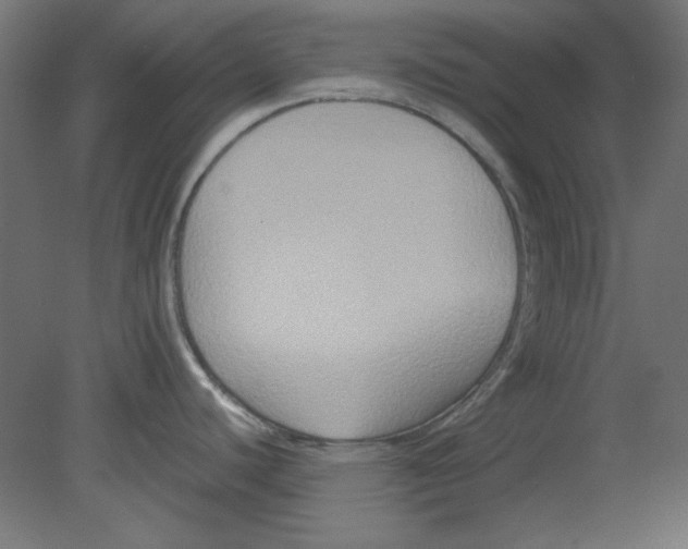 X0000080751440200701121951