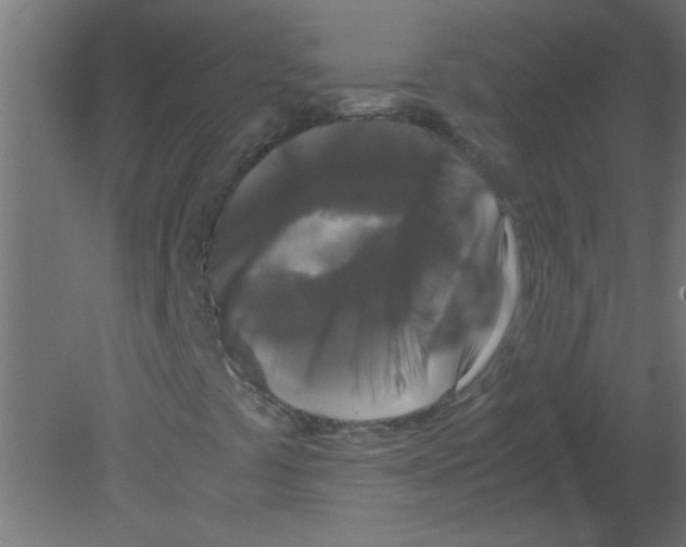 X0000080751441200701121951
