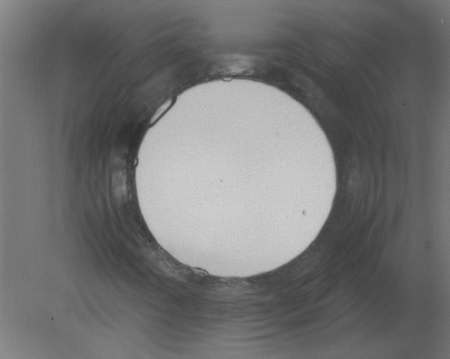 X0000080751442200701121951