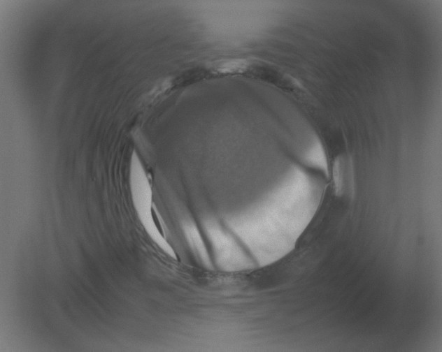 X0000080751443200701121951