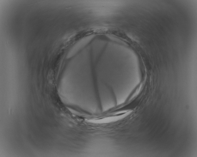 X0000080751445200701121951