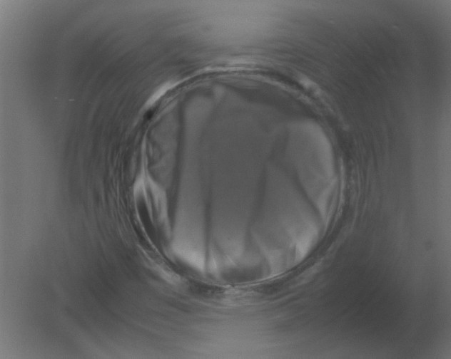 X0000080751449200701121950