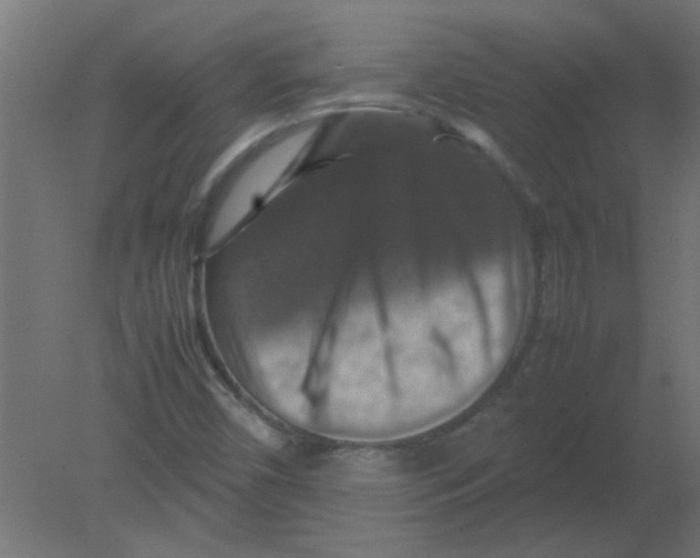 X0000080751450200701121950
