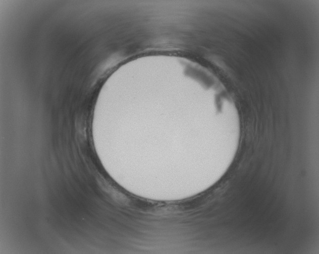 X0000080751451200701121950