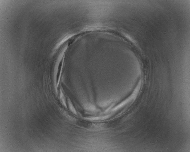 X0000080751453200701121950